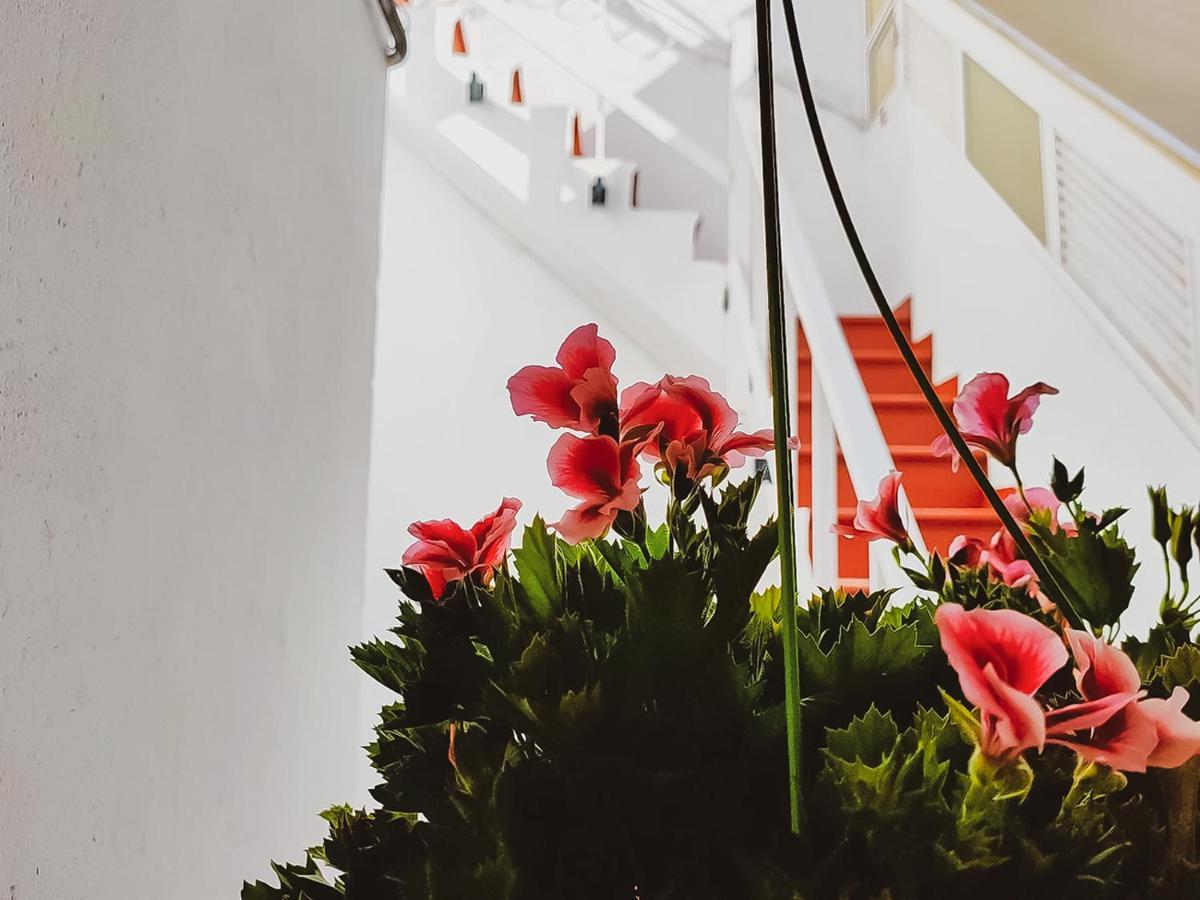 Alma Canaria Rooms Лас Палмас де Гран Канария Екстериор снимка
